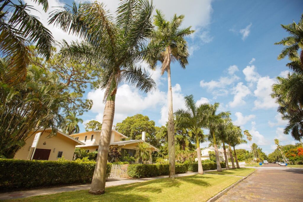 Brooklyn Village Florida Summer Day